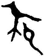 爵,伯爵彝 ,書法字典